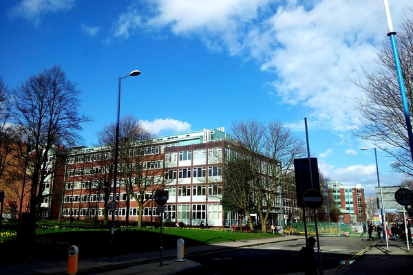 校園 STEM 科學周 XXXX - 圖片 7